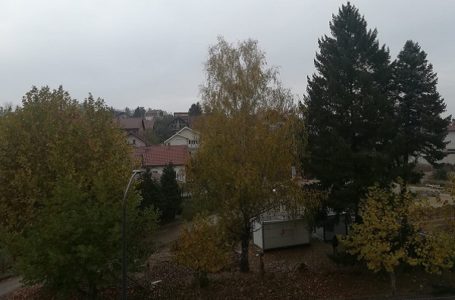 Poslednji pozdrav „Dečjim novinama“ i drveću