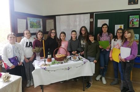 Obogaćeni jednosmenski rad u rudničkoj školi