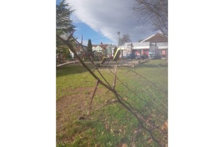 Čitalac reporter upozorava na žbun sa bodljama