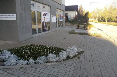 More ljubičica ispred SNS-a i u centru grada
