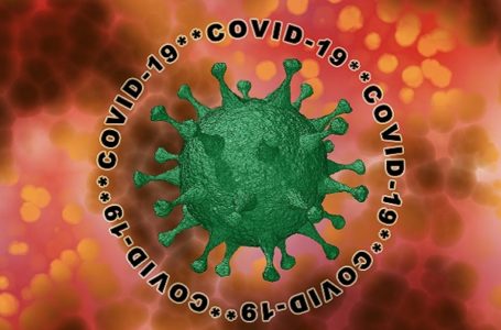 COVID-19, Srbija: Još 81 potvrđen slučaj pozitivnih na koronavirus