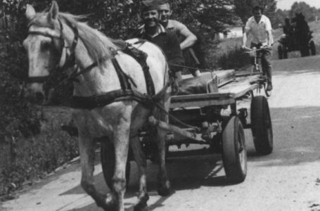 I da se podsetimo jednog rabadžije…