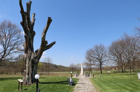 Položeni venci povodom godišnjice Drugog srpskog ustanka