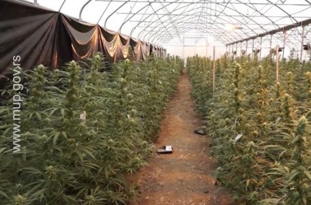 Novosti: Tužilaštvo podiglo optužnicu zbog slučaja Jovanjica