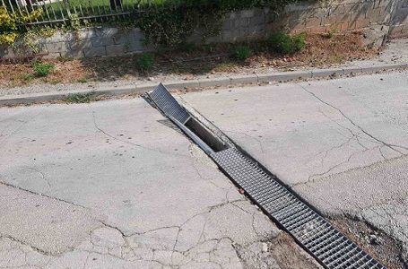 Čitalac reporter: Stručnost pre svega