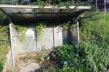 Čitalac reporter: Autobusko stajalište u korovu