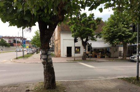 OO Dveri GM: Još jedna milanovačka saobraćajna enigma