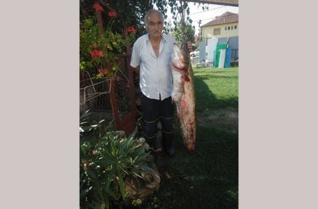 Kapitalac sa Morave