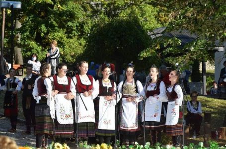 Crnućanka na Etno glasu u Pančevu