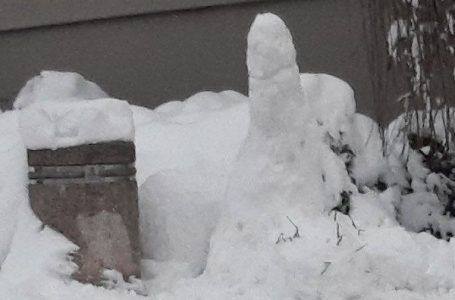 Kreativni Milanovčani, snežni vajari