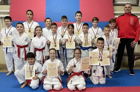 Prvenstvo regiona: 15 medalja za karatiste „Milanovca“