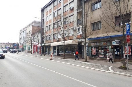 Čitalac reporter: Da li je za orezivanje 11 stabala potrebno pet dana?