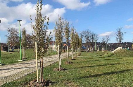 Obradović: Završen projekat “Unapređenje zelenila i kvaliteta vazduha na području G. Milanovca“