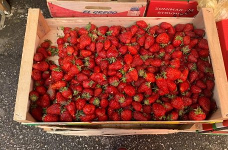 Savet kako da jagode ostanu duže sveže i ne istrule