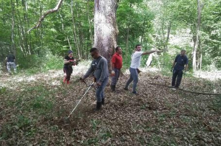 Hronika Semedraži – UREĐENjE OKO ZAPISA