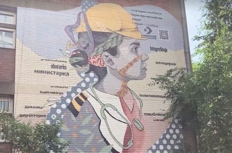 „Vozačica“, „pešakinja“ i „borkinja“ idu pred Ustavni sud – podneta inicijativa za proveru zakona