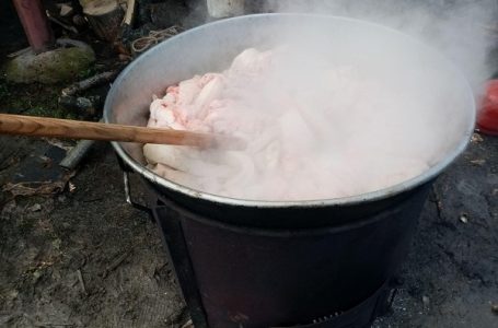 Vreme svinjokolja