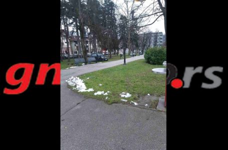 Nepodnošljiva lakoća parkiranja, u parku (FOTO)