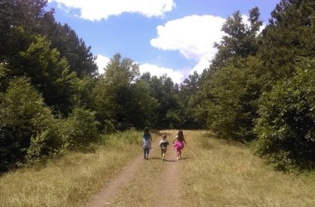 Deo osnovaca od danas na raspustu, ostali se raspuštaju 20. juna