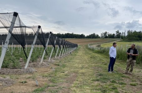 Iz daleke Australije u srce Šumadije