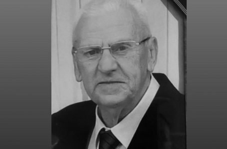 IN MEMORIAM profesor Milorad Novković