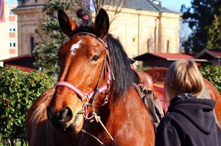 Božićni defile – Od kamiona, traktora i bajkera do konja (+FOTO)