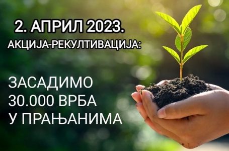 Suvoborska greda: AKCIJA – Sadnja 30.000 košarastih vrba u Pranjanima