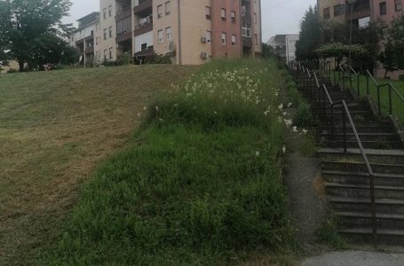 Čitaoci reporteri: (Ne)završen posao