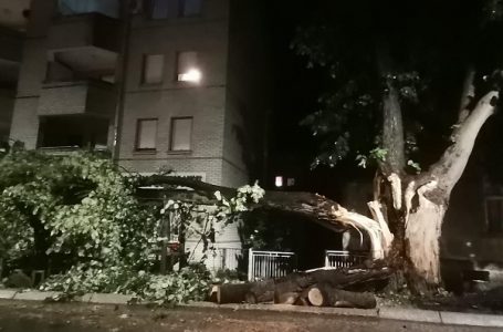 Nevreme pogodilo i Gornji Milanovac: Olujni vetar obarao drveće…