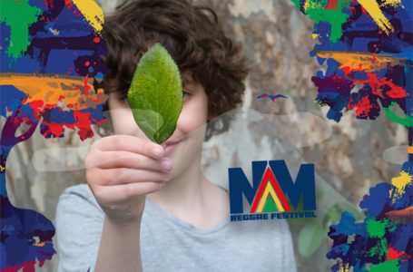 Šta je spremljeno za najmlađe na Natural Mistiku