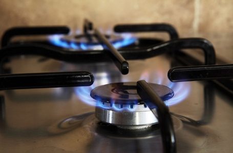 Bajatović: Poskupljuje gas, ali manje od zahteva MMF ako papiri pokažu da može