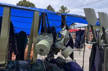 Ilindanski vašar u Milanovcu