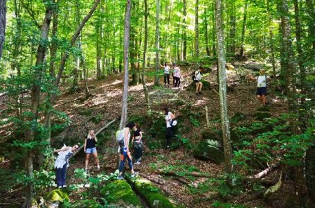 Održan peti Šumski velnes