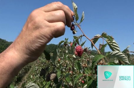 Srbija na zapadu – 10 (VIDEO)