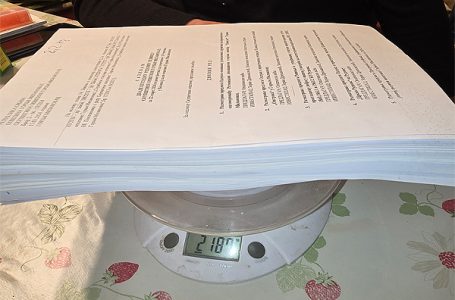Topalović: Jedan primer besmislenog rada lokalne Skupštine