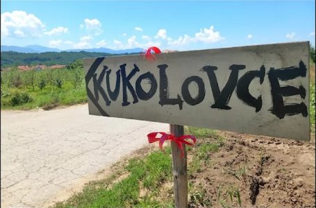 Savkovića kosa kao Kukulovci