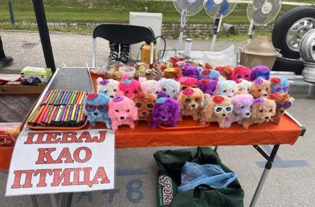 Vašar o Mladom Nikoli u Milanovcu (+FOTO)