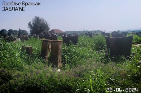 GRAĐANI REPORTERI: Dvostruka tuga (FOTO)