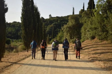 Planinarenje – Milanovački Feniks u usponu na Atos