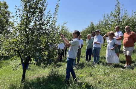 Uspešno realizovana 3. Radionica „RANA LETNJA REZIDBA“ u okviru Kursa rezidbe voća