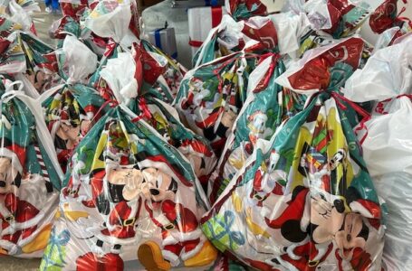 Crveni krst Gornji Milanovac pokrenuo akciju „Jedan paketić – puno ljubavi“