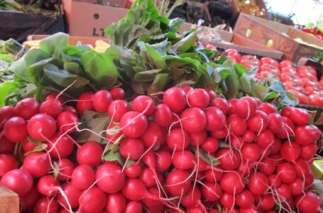 Pijačni barometar – 4. april