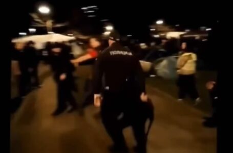 Potukle se Vučićeve pristalice u Ćacilendu (VIDEO)