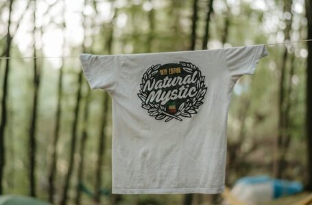 Natural Mystic Festival 12 – Odbrojavanje je počelo
