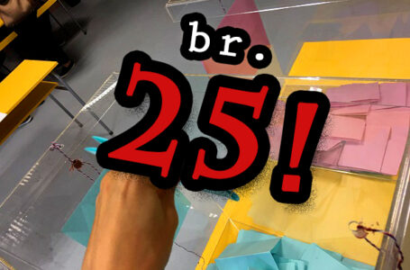 Kosjerić i Zaječar ponovo na klackalici – sudovi poništili pojedina rešenja Izbornih komisija