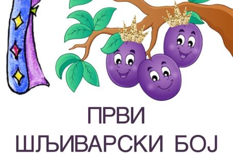 Prvi šljivarski boj” – Lutka predstava za početak školske godine