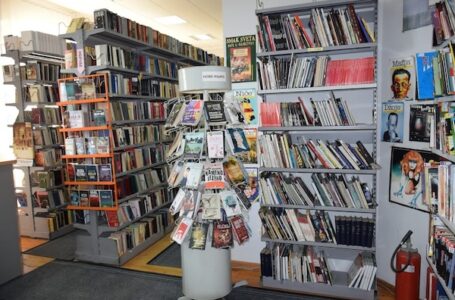 Šta Milanovčani najviše čitaju ovog leta? Biblioteka „Braća Nastasijević“ otkriva najtraženije naslove i preporuke za avgust