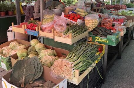 PETAK U MILANOVCU: Kakva je ponuda i koje su cene na Zelenoj pijaci?