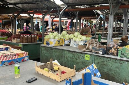 PIJAČNI BAROMETAR: Koliko koštaju sir, kajmak i suhomesnati proizvodi ovog petka?