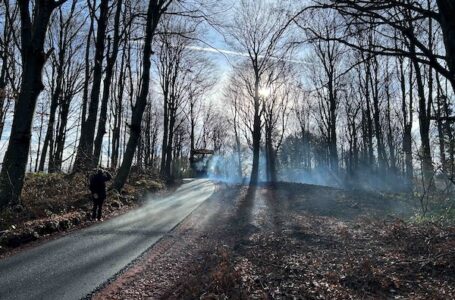 Asfaltiran lokalni put u Gornjim Branetićima, u planu rekonstrukcija celog pravca od 6 km